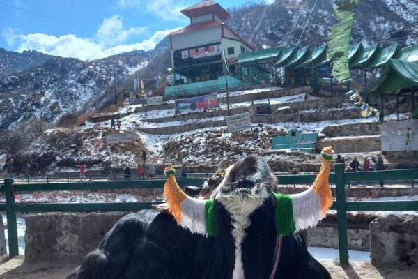 7 Days Sikkim Darjeeling Family Package