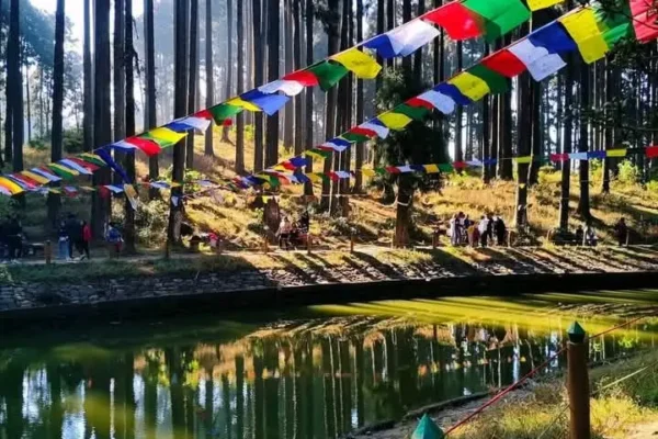 8 Days Darjeeling Sikkim | FREE Yak Ride