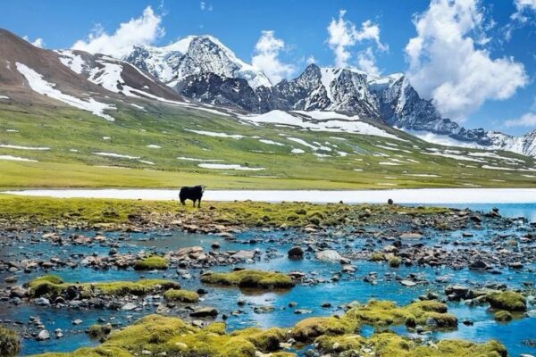 2N Gangtok 1N Lachen 1N Lachung | Gurudongmar Lake & Yumthang Valley
