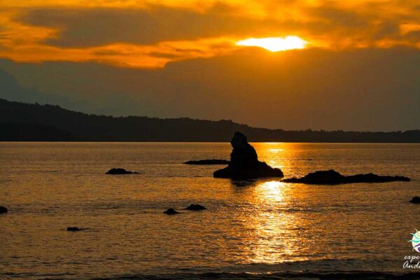 Andaman 4 Days Budget Package